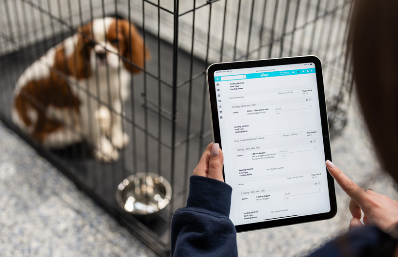 iPad giúp nhân viên chăm sóc cập nhật tình hình của thú cưng (chẳng hạn lượng nạp thuốc và thức ăn) theo thời gian thực bằng Gingr, một ứng dụng quản lý cho doanh nghiệp về thú cưng.