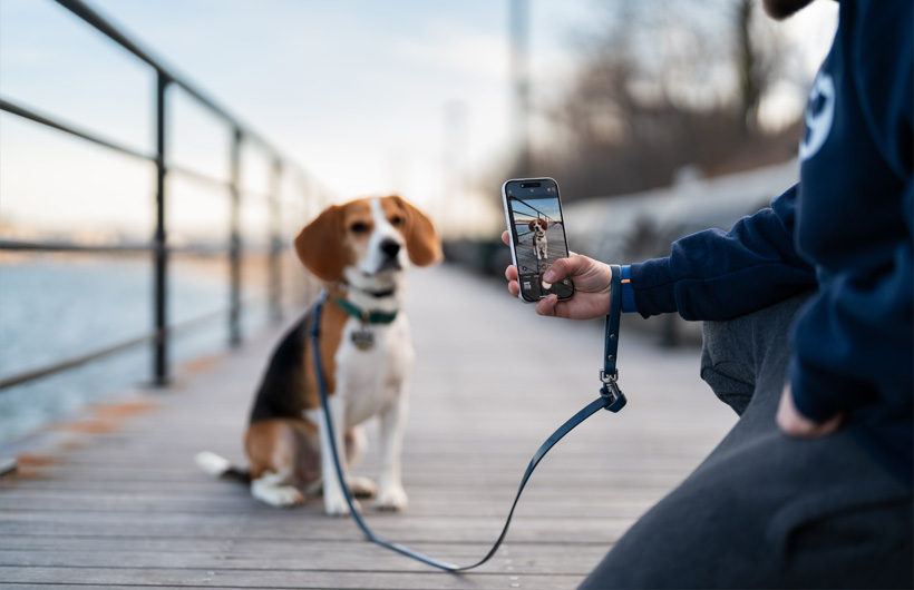 Chất lượng camera vượt trội của iPhone giúp phiếu theo dõi thú cưng gửi cho chủ nuôi càng thêm chuyên nghiệp, đẹp mắt.