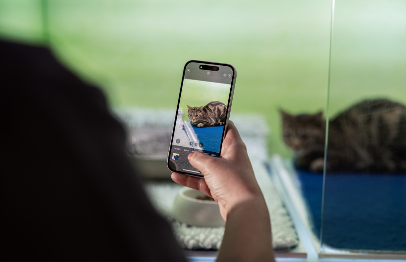 Y tá dùng iPhone để cập nhật hình ảnh thú cưng thường xuyên, giúp người chủ thêm phần an tâm.